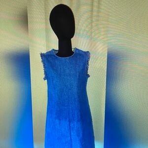 A Hope and Harlow Light Blue Denim Fringe Frayed Dress